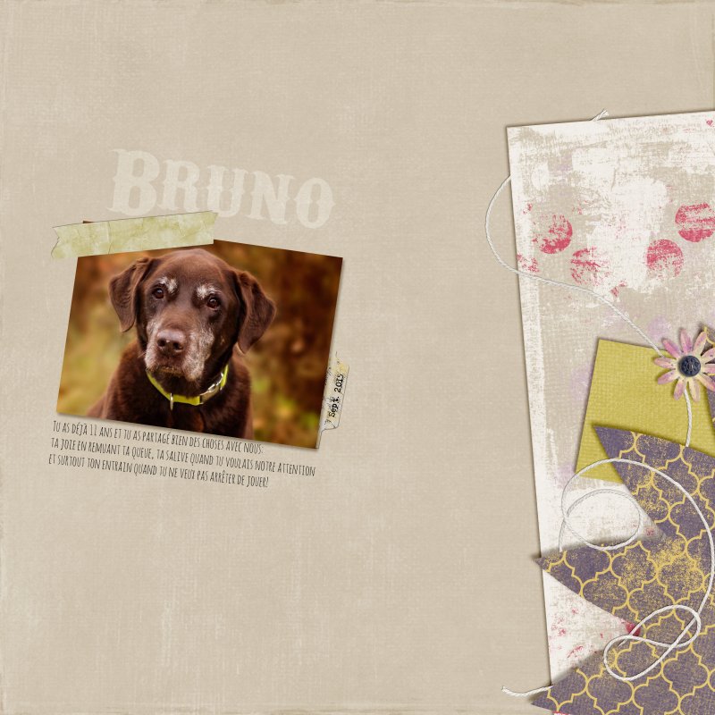 Bruno