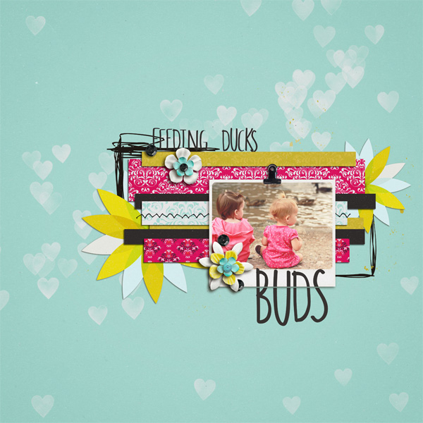 Buds