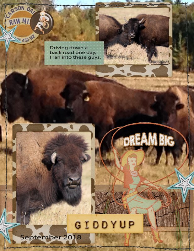 Buffalo!