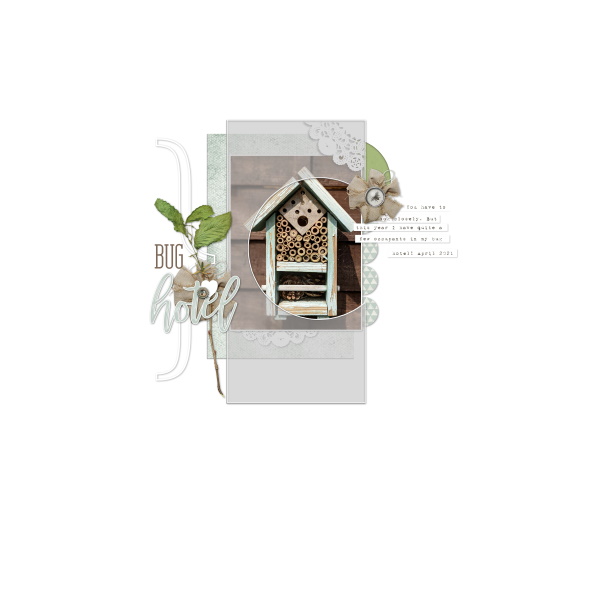 Bug Hotel