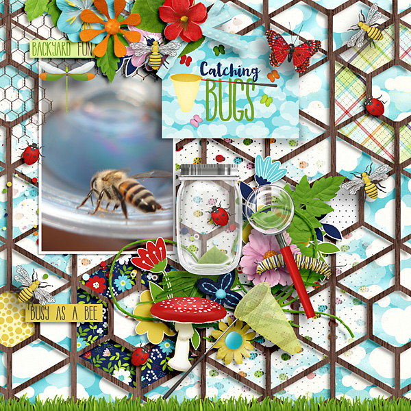 Bug Hunt