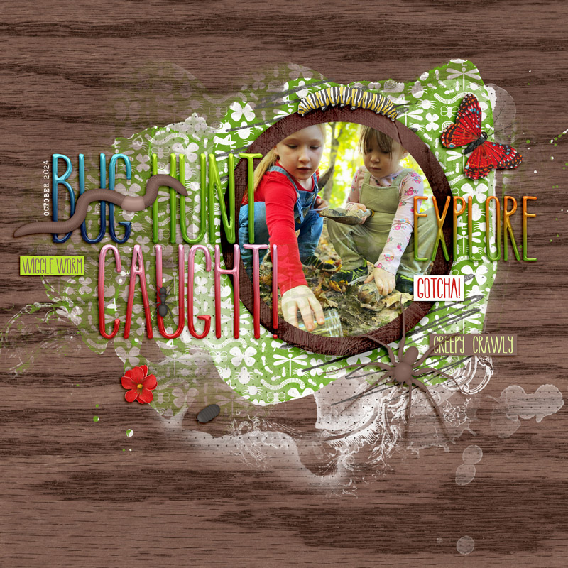 Bug Hunt