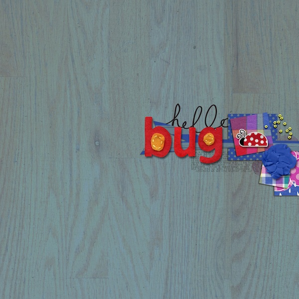Bug