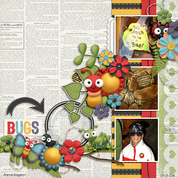 bugs