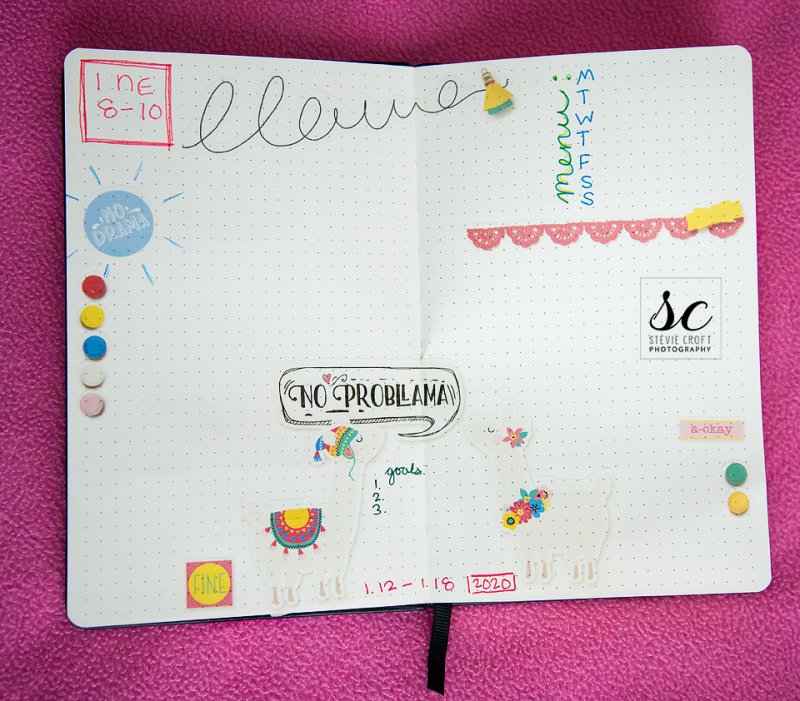 Bujo 202: No Probllama!