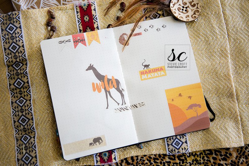 Bujo: Lion King