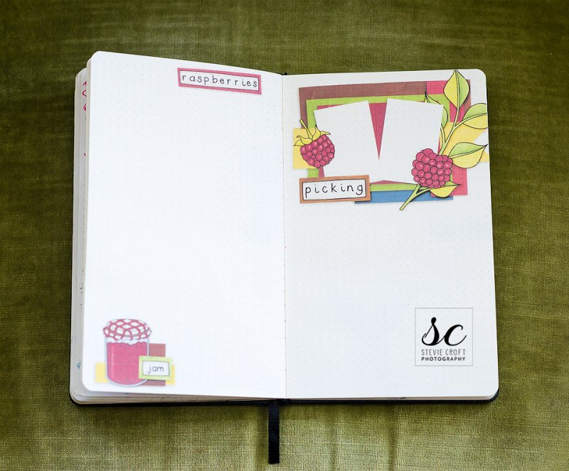 Bujo: Raspberry Picking