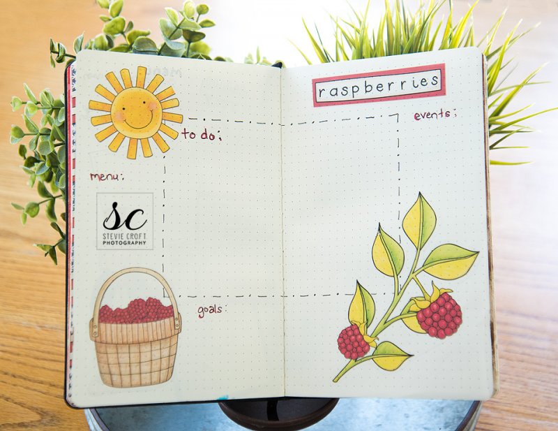 Bujo: Raspberry Season