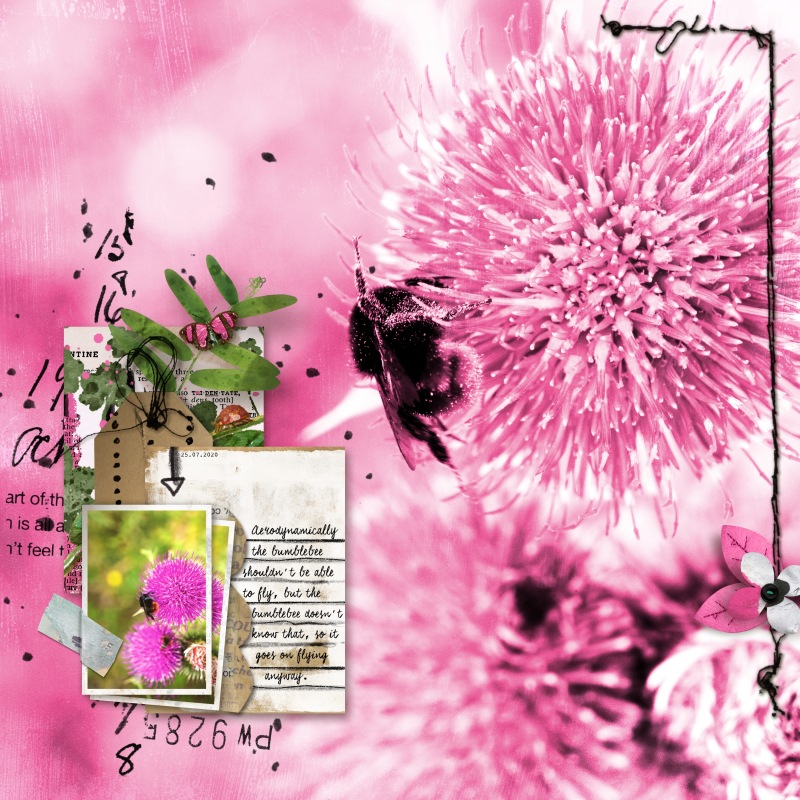Bumble-Bee