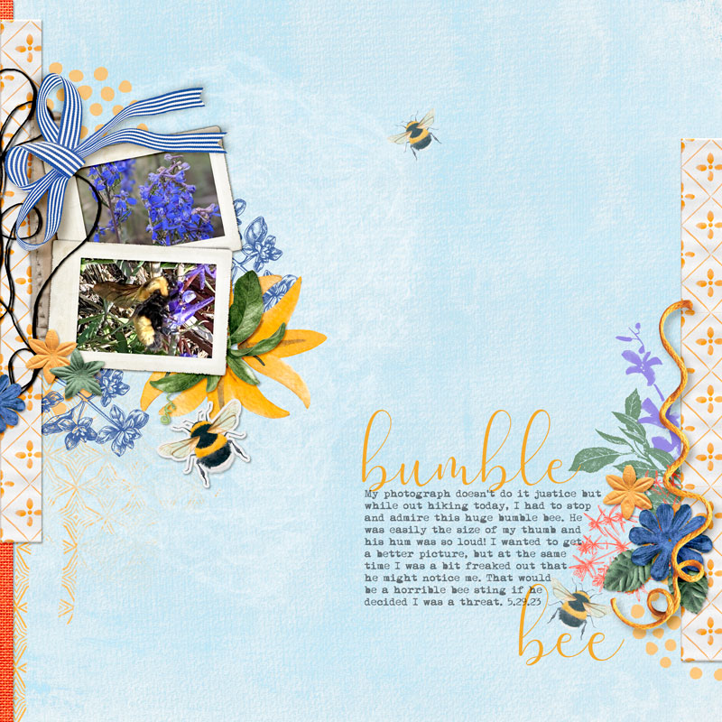 Bumble-bee