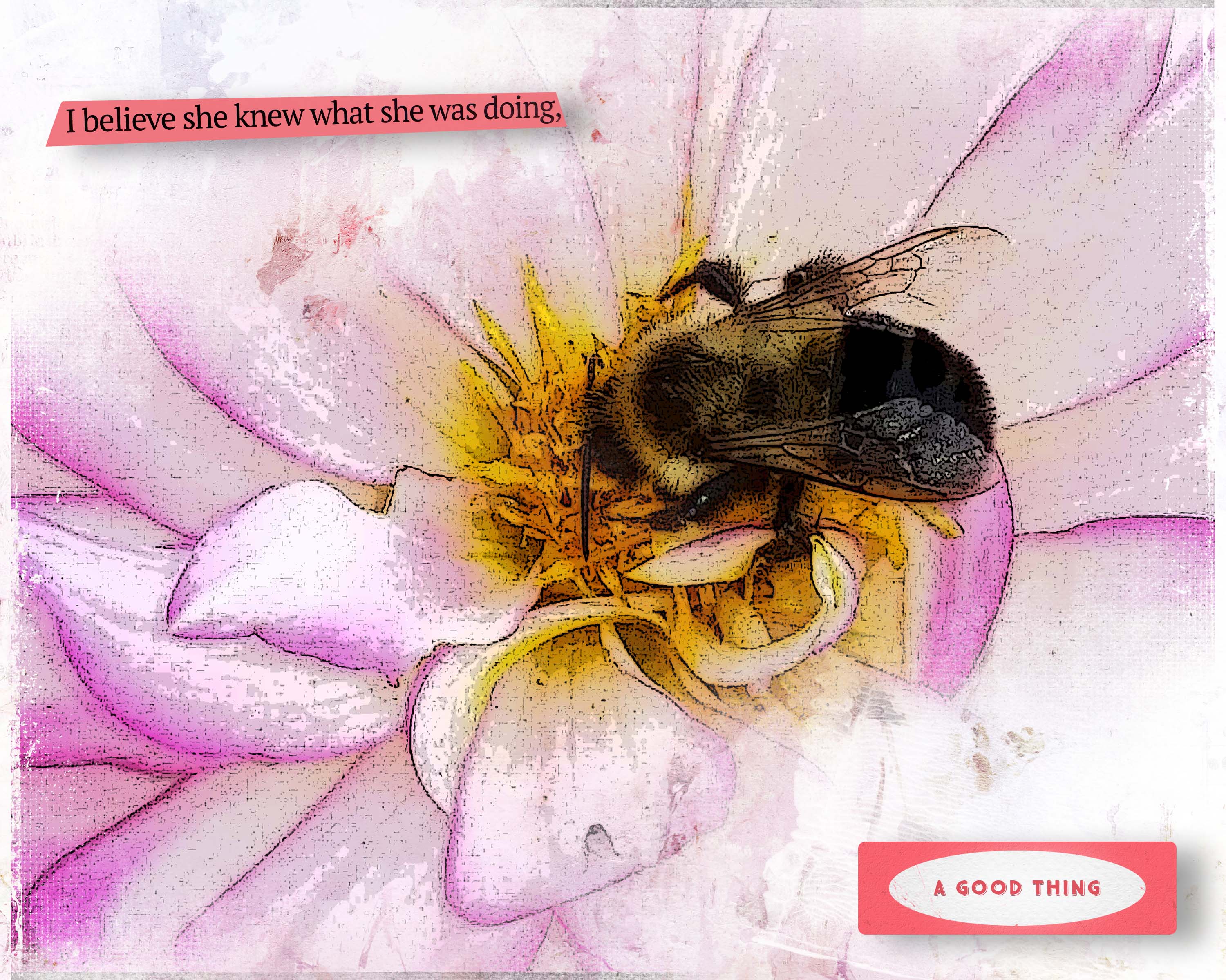 Bumblebee Love.jpg