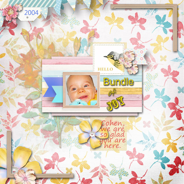 Bundle of Joy