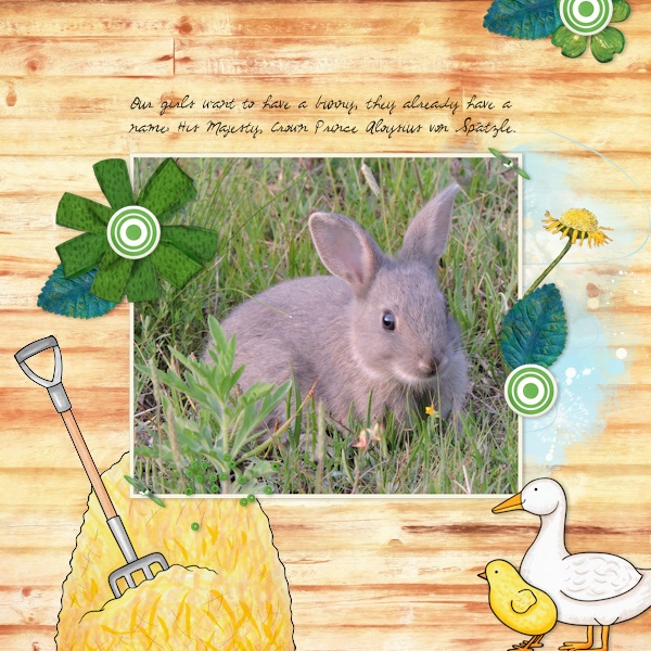 Bunny-1