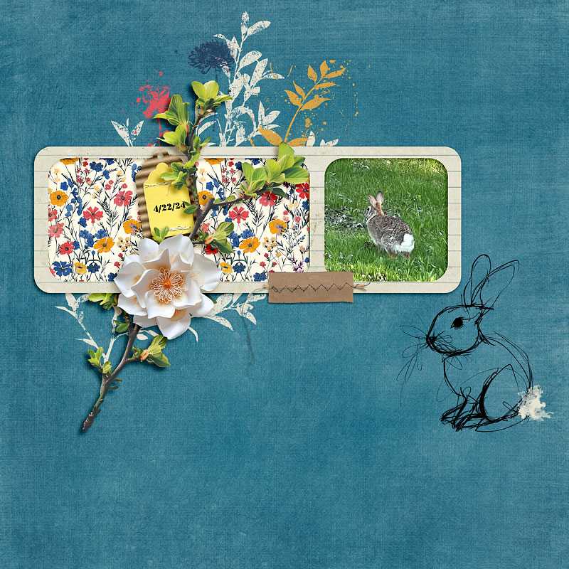 Bunny April 2024