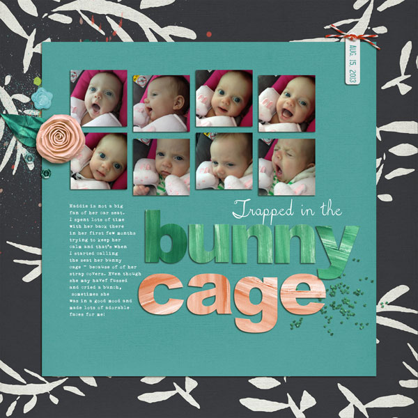 Bunny Cage