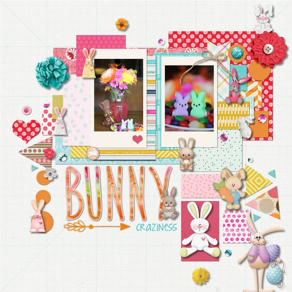 Bunny craziness