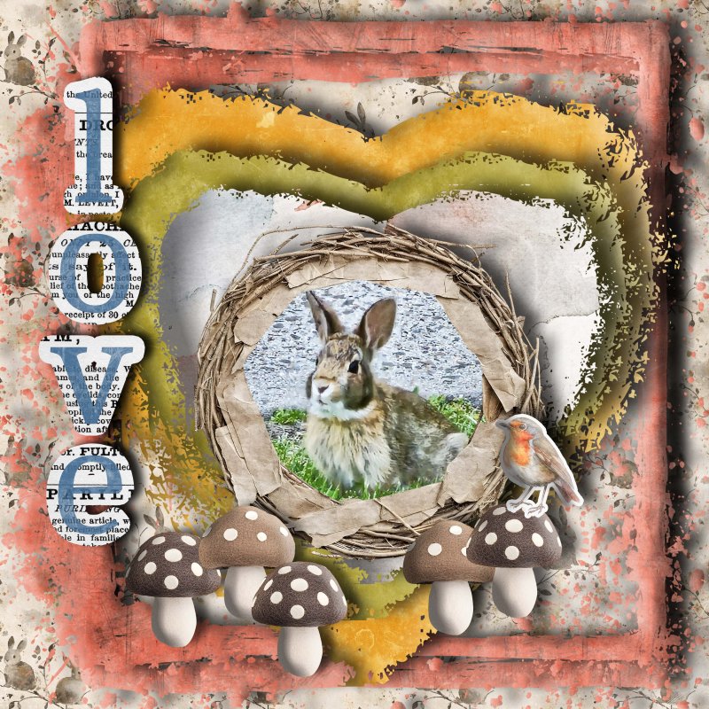 Bunny Love