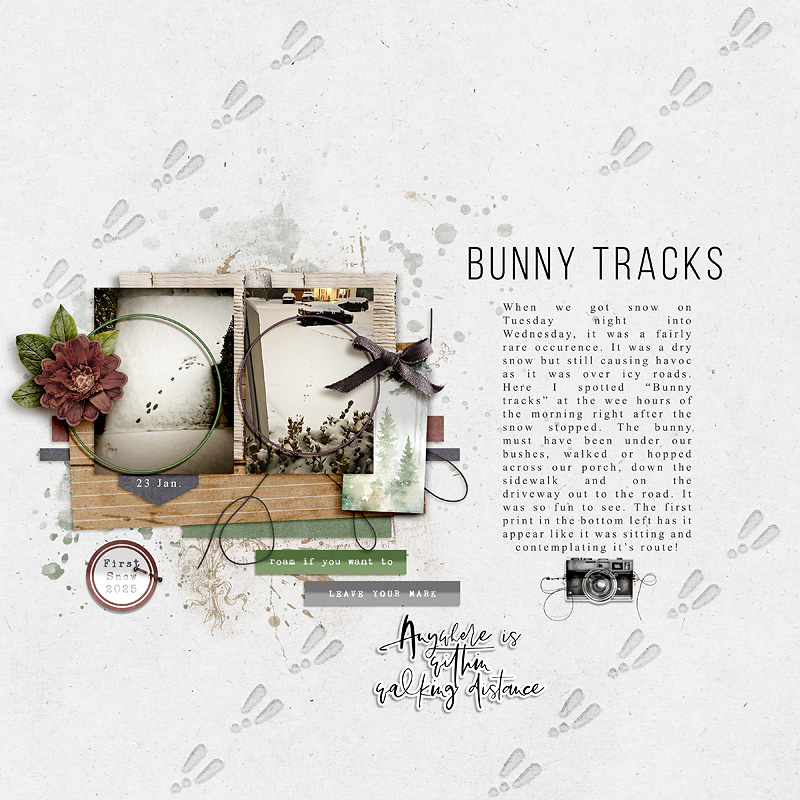 Bunny Tracks