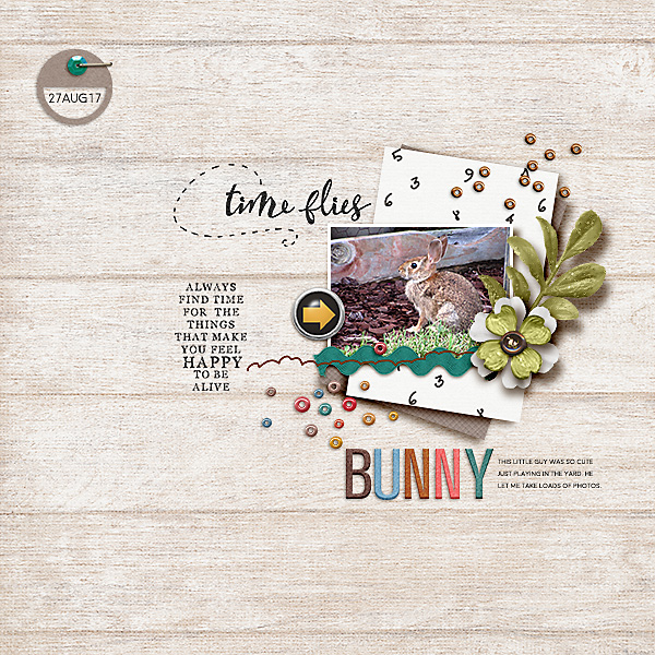 Bunny