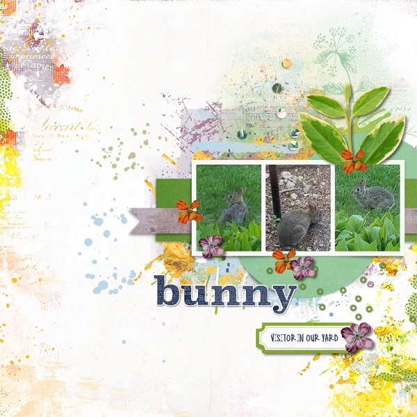 Bunny