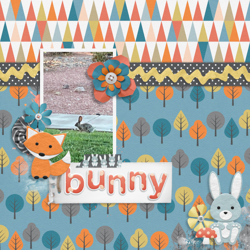 Bunny