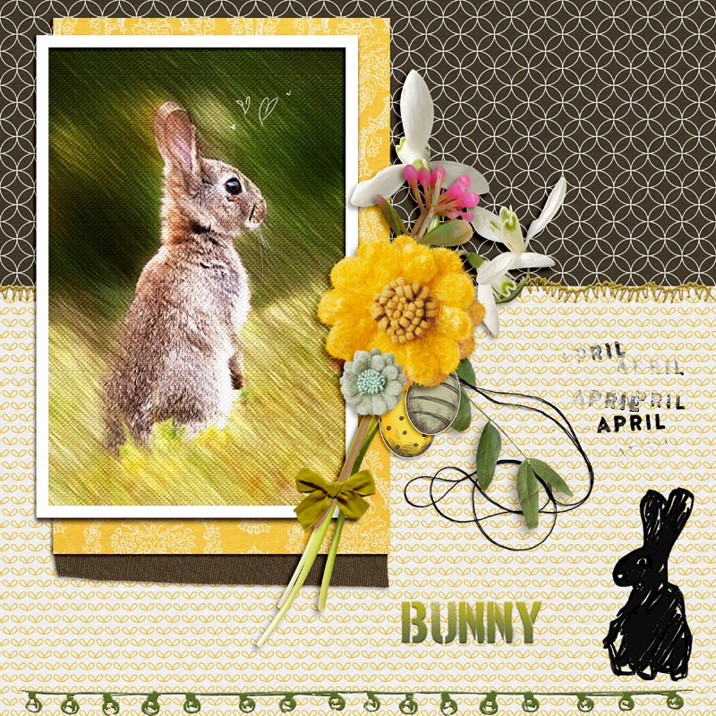 Bunny