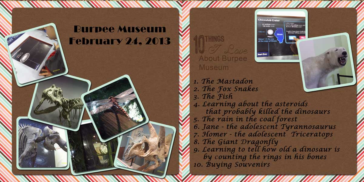 Burpee-Museum-MOC-2015