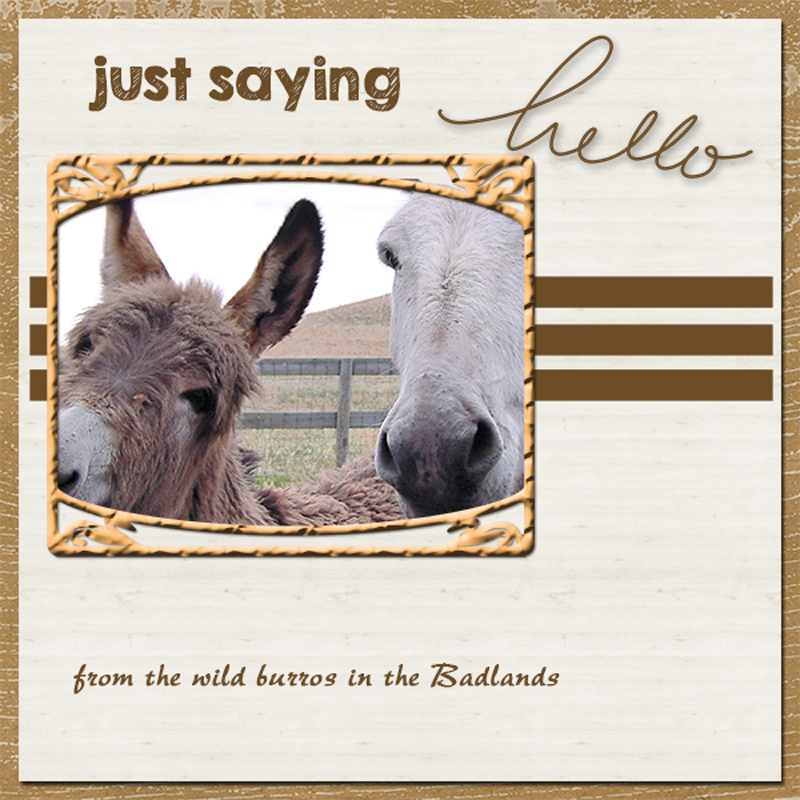 burros-rewind-challenge