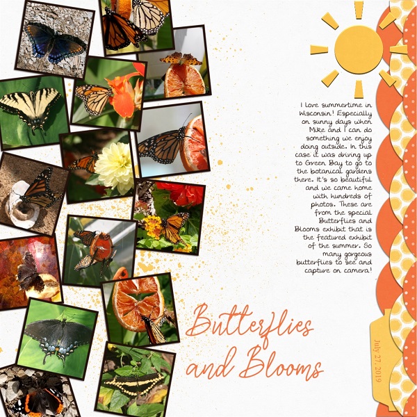 Butterflies And Blooms