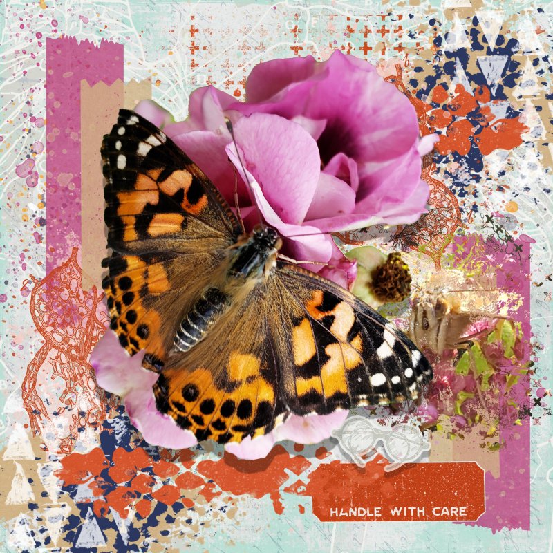Butterflies And Medics