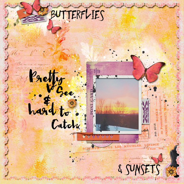 Butterflies & Sunsets