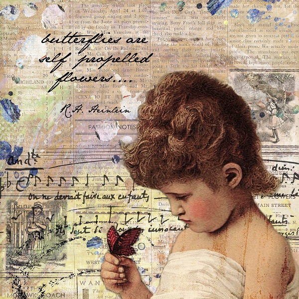 Butterflies