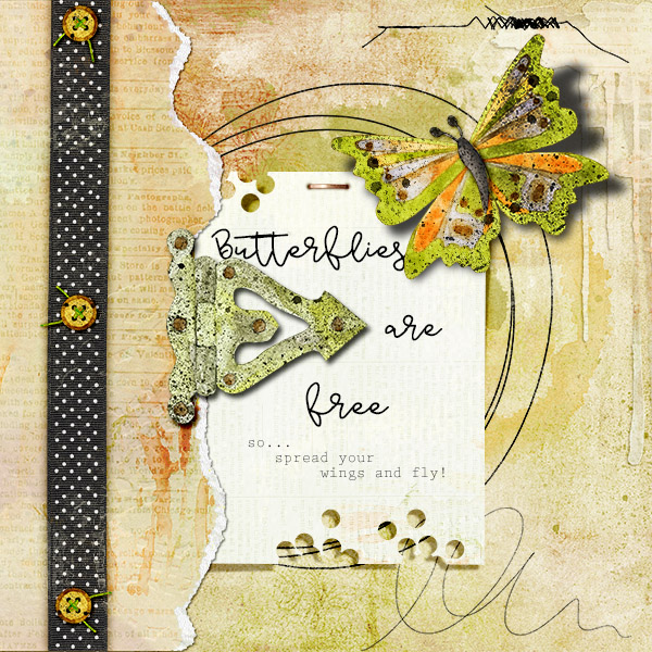 Butterflies