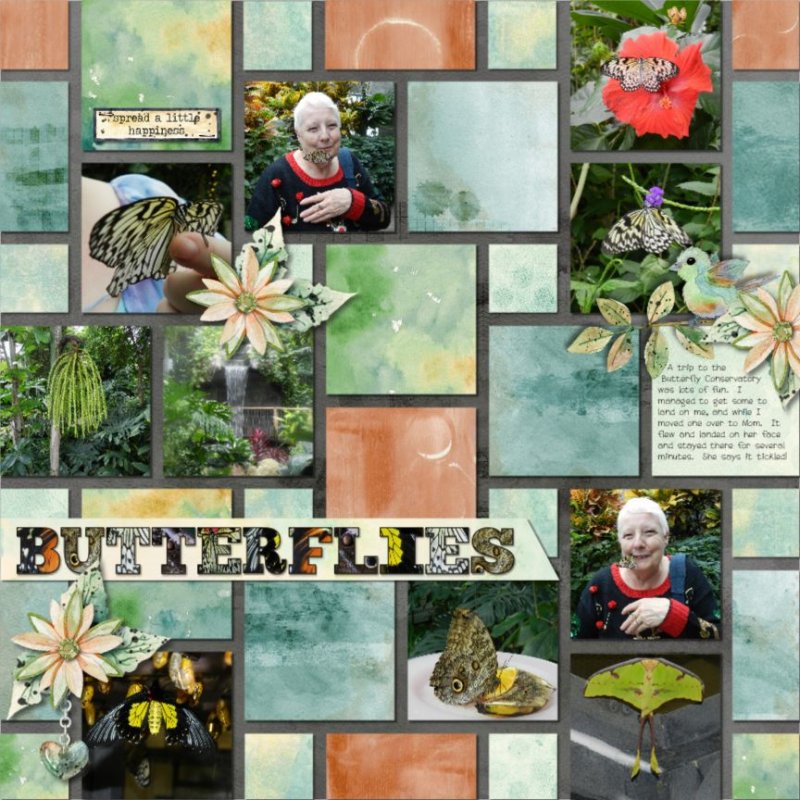 Butterflies
