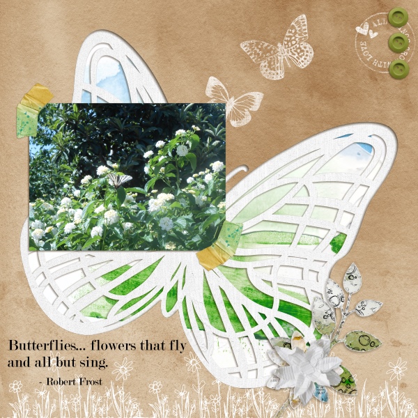 Butterflies