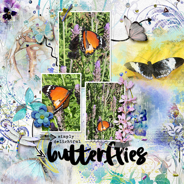 Butterflies