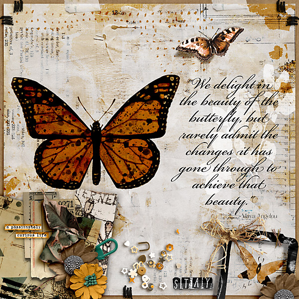 Butterflies