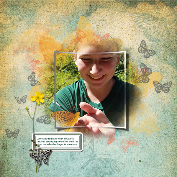 Butterflies