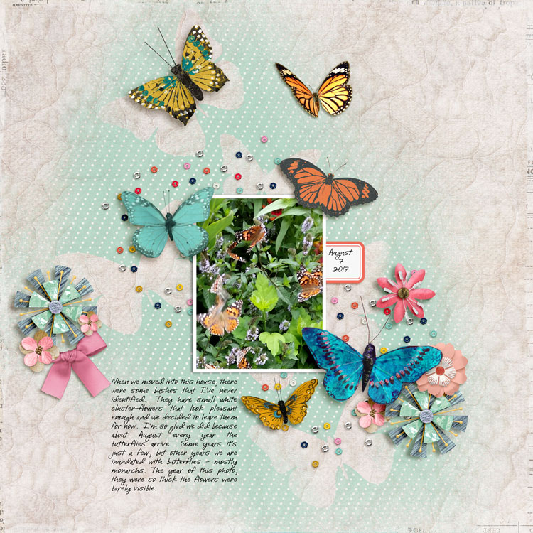 Butterflies