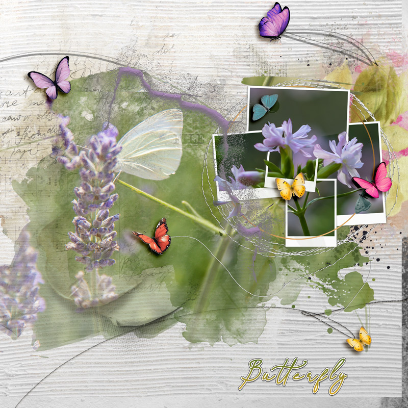 Butterflies