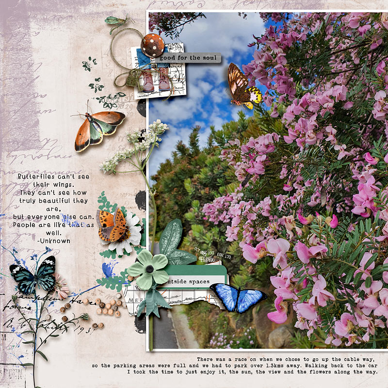 Butterflies