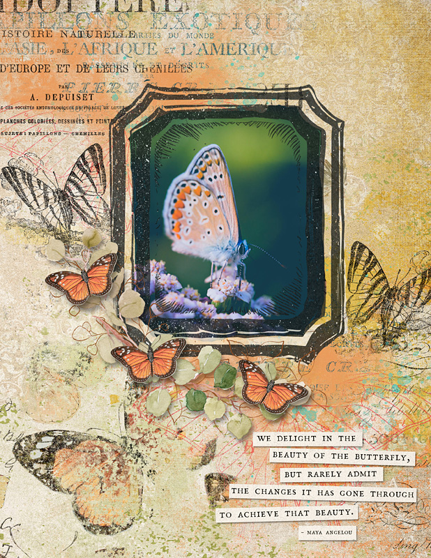Butterflies