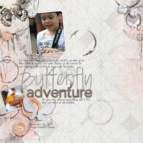 Butterfly Adventure