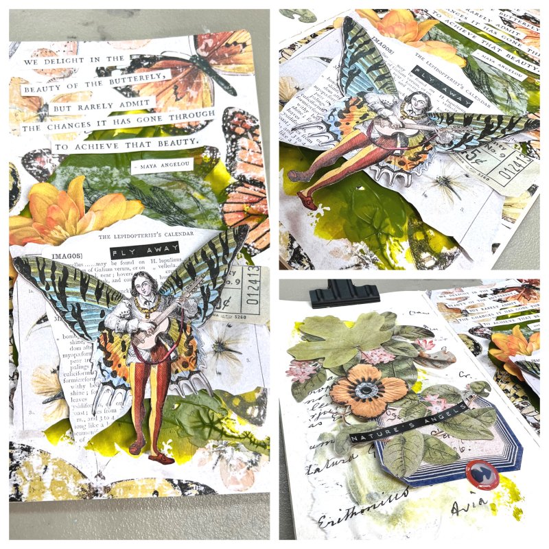 Butterfly AJ - Details