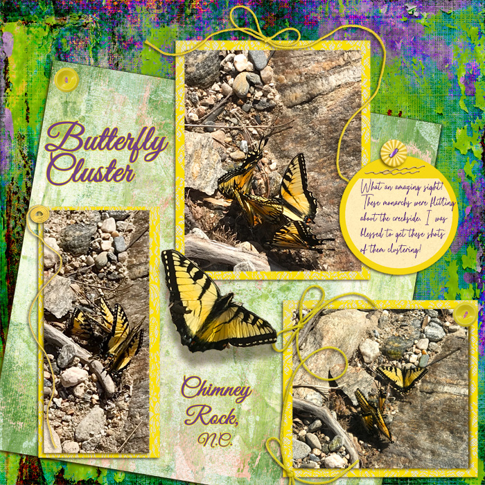 Butterfly Cluster  Random