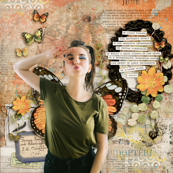 Butterfly Effect