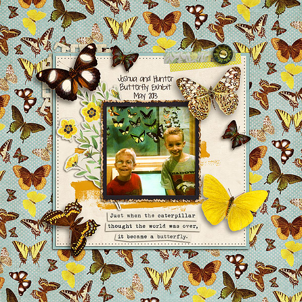 Butterfly Exhibit