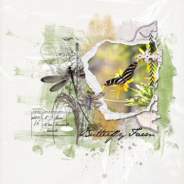 Butterfly Farm