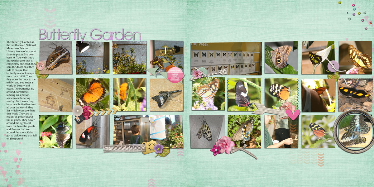 Butterfly Garden