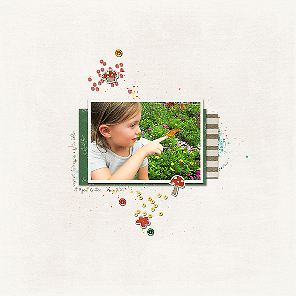 butterfly garden